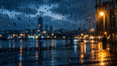 كلمات اغنية أبا أعزي الدموع اللي غشت كلمات اغنية أبا أعزي الدموع اللي غشت